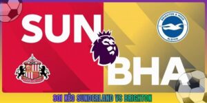 Soi Kèo Sunderland Vs Brighton, 21h00 10/10, Ngoại Hạng Anh